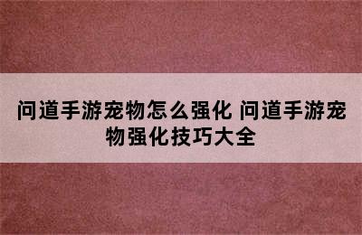 问道手游宠物怎么强化 问道手游宠物强化技巧大全